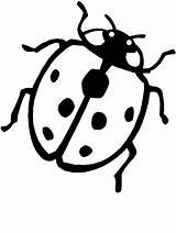 Coccinelle Ladybug Bubamara Kolorowanki Joaninhas Biedronki Bojanke Crtež Crtezi Printanje Bojanje Ladybugs Osam Stampa Colorido sketch template