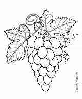Coloring Leaves Pages Pile Trauben Grapes Coloringbook Site Color sketch template
