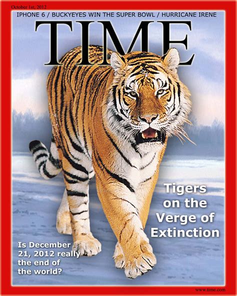 tiger time magazine cover  emily  deviantart