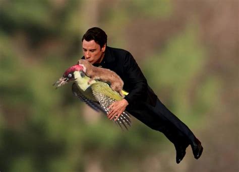 photo of weasel riding on a woodpecker spawns hilarious photoshop meme