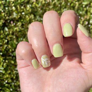 shades  nails spa  market green pl  lakeland tennessee
