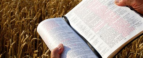 evangelism sunday resources evangelism