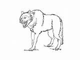 Loup Coloriage Loups Coloriages Animaux sketch template