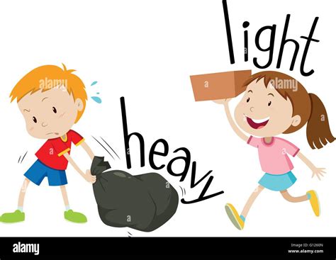adjectives heavy  light illustration stock vector image
