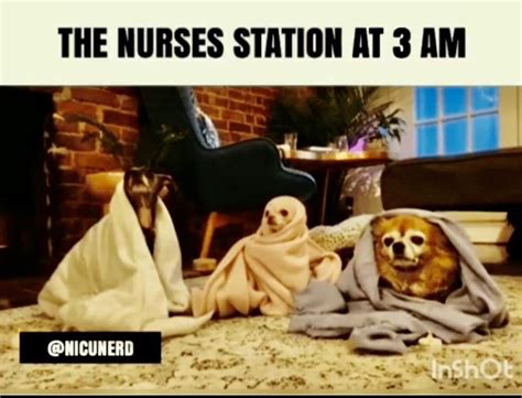 Night Nurse Humor Night Shift Humor Nurse Jokes Night Shift Nurse