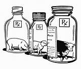 Bottle Medicine Drawing Getdrawings Animals sketch template