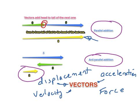 adding parallel  antiparallel vectors showme