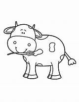 Cow Coloring Baby Cute Printable Getcolorings Inspiration sketch template