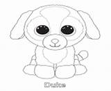 Coloring Pages Beanie Boo Duke Info Print Color Printable Online sketch template