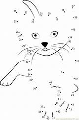 Cat Dots Connect Dot Play Worksheet Kids Online Pdf sketch template