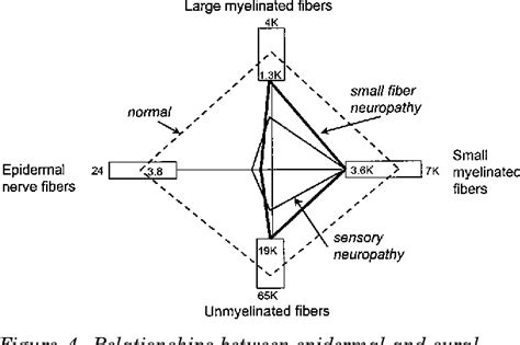 figure 4 from epidermal nerve fiber density and sural nerve morphometry