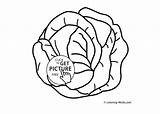 Coloring Pages Vegetable Cabbage Printable Kids Vegetables Clipart Garden 4kids Drawing Clipartmag Sheets Coloing Books Choose Board sketch template