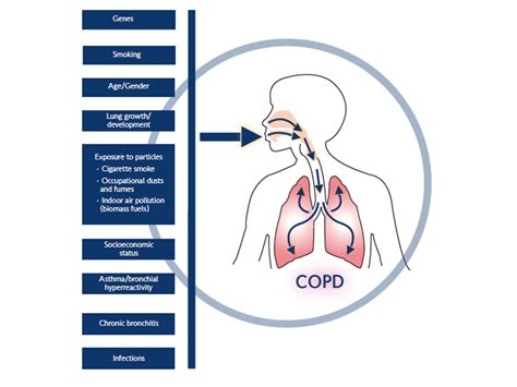 Copd In Hospice Copd Blog M