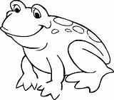 Frog Coloring Pad Lily Pages Clipart Advertisement sketch template