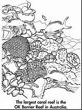 Reef Barrier Coloring Great Coral Pages Drawing Australia Ocean Color Printable Kids Drawings Sheets Getdrawings Choose Board sketch template