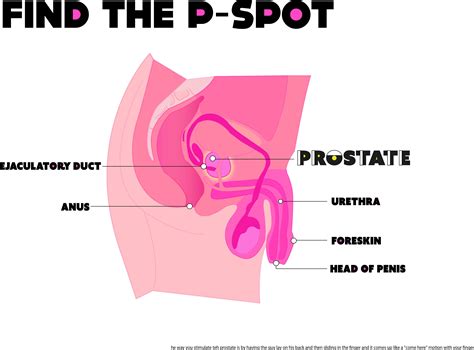 Penetrate Hit Prostate Orgasm Deep Porno Hq Compilations