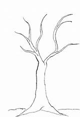 Tree Coloring Bare Getdrawings sketch template