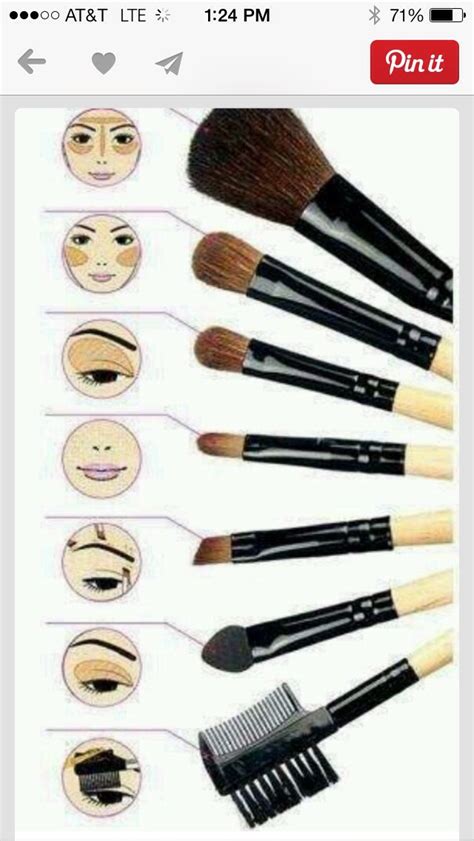 quick guide to makeup brushes musely
