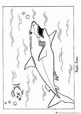 Shark Coloring Great Pages Boy Color Print Bull Kids Sharkboy Megalodon Colouring Animals Printable Week Hellokids Getcolorings Lavagirl Sheet Library sketch template