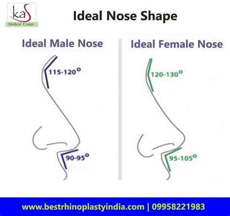 ideal nose shape  male  female rhinoplasty nose jobs nose reshaping nose surgery
