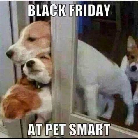 funny pictures  black friday  pictures  images