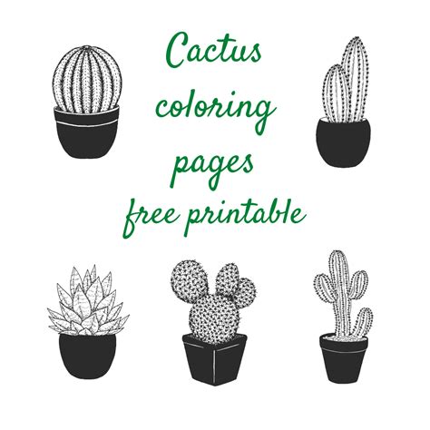 cactus coloring pages  printable keeping  real