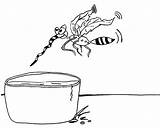 Dengue Colorir Mosquito Sobre Diversos Parada água Aedes Areia Evite Recipientes Coloque sketch template
