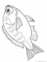 Fish Hook Printable Outline Coloring Pages sketch template