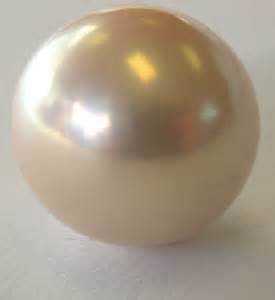 pearl extract  good skin kristin ebbert acupuncture wellness  larchmont blvd