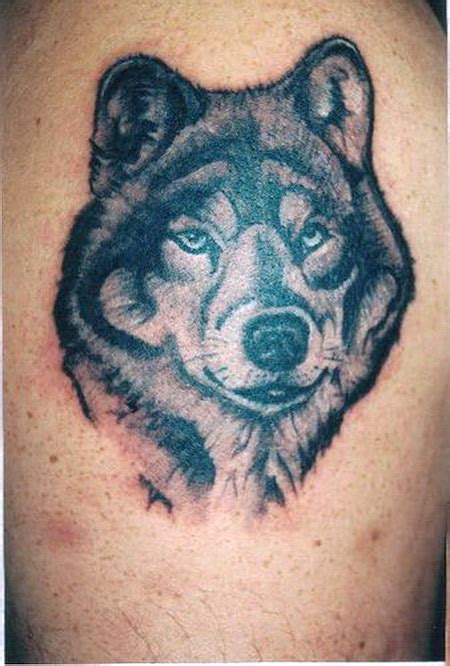 cool wolf tattoos gae imagenes