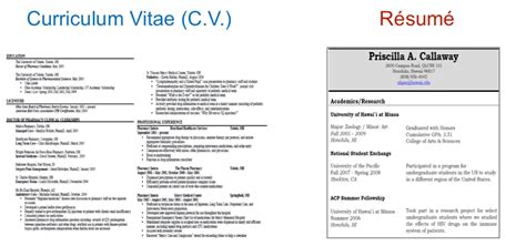 cv template  resume resume format curriculum vitae good resume