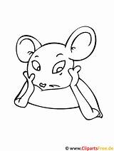Maus Tiere Colouring Ausmalbilder Malvorlage sketch template