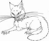 Scourge Warrior Cats Pages Coloring Template Lineart Fire sketch template