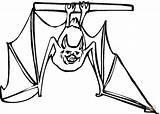 Bat Upside Bats Fledermaus Nietoperz Kolorowanki Morcego Kleurplaten Testa Vleermuis Dzieci Druku Giu Pipistrello Ausmalbild Pendurado Hangt sketch template