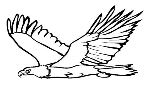 eagle printable coloring pages  getdrawings