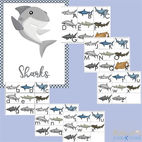 shark printable activities  kids shark lesson plans