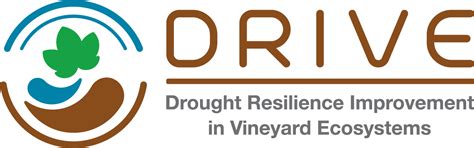 drivelife drought resilience improvement  vineyard ecosystems drive life