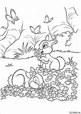 Coloring Pages Bunnies Flowers sketch template