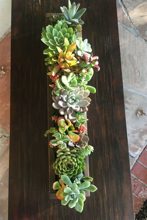 succulent table centerpiece display long wood box home decor etsy