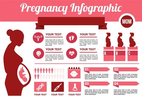 libre embarazo infográfico vector descargue gráficos y vectores gratis