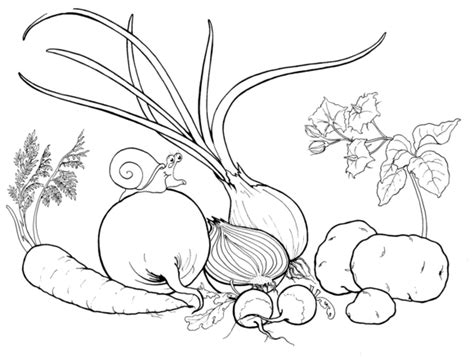 veggies coloring page  printable coloring pages vegetable