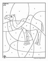 Camel Number Color Kids Activities Animal Woojr Printable Preschool Visit Numbers Pages sketch template