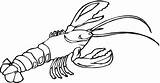 Outline Crawfish Crayfish Colouring Lobsters Trap sketch template