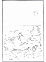 Polar Coloring Iceberg Alone Bear sketch template