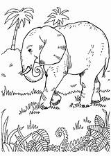Savane Coloriage éléphant sketch template