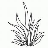 Malvorlagen Pflanzen Seaweed Fensterbilder Pastos Outlines Unterwasserpflanzen Pflanze Clipartmag Regalos Pasto Colorearya Seagrass Niños sketch template
