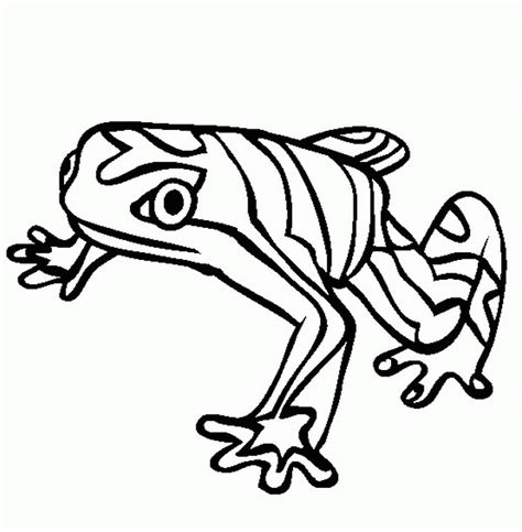 printable frog pictures coloring home