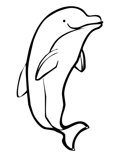 cartoon dolphin coloring pages  getcoloringscom  printable