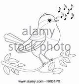 Songbird Coloring Designlooter Singing Waiting Colored Notes Bird Illustration Vector Stock 64kb 320px sketch template