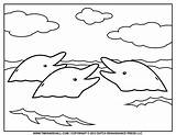Dolphin Dolphins Outlines Template Getdrawings Timvandevall sketch template